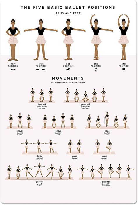 Basic Ballet The Steps Defined Penguin Handbooks