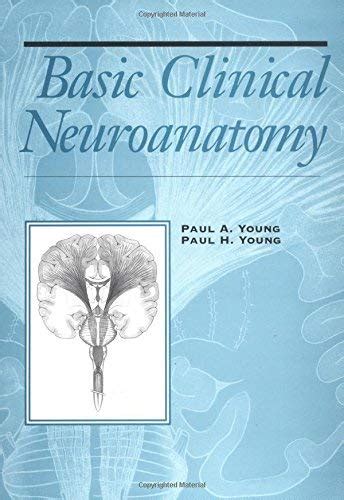 Basic Clinical Neuroanatomy Young