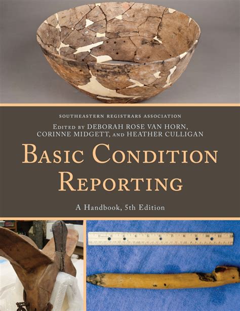 Basic Condition Reporting A Handbook