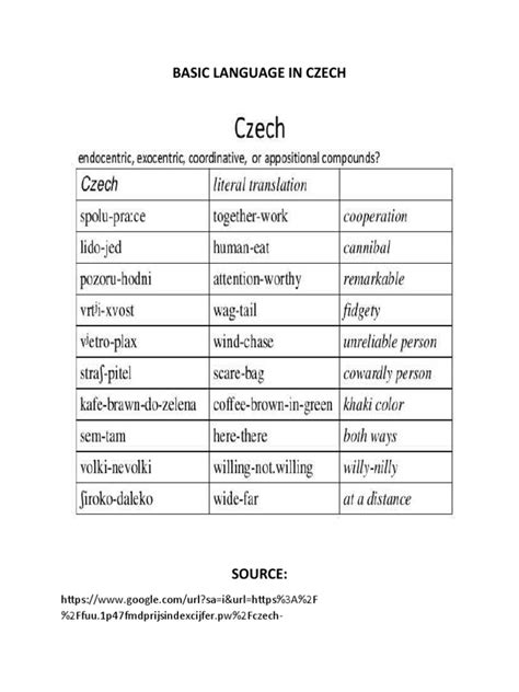Basic Czech I