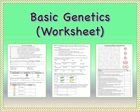 Basic Genetics Worksheet