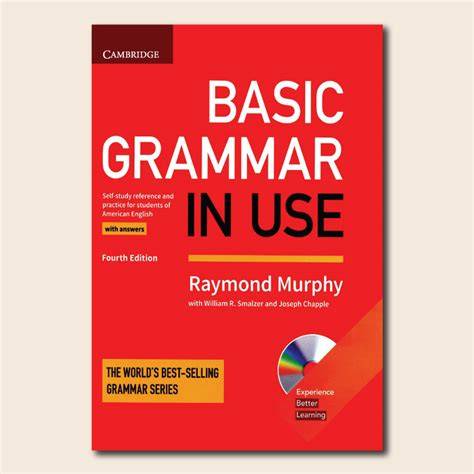 basic grammar in use