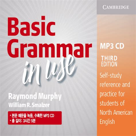 basic grammar in use mp3