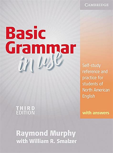 Basic Grammar In Use Third Edition