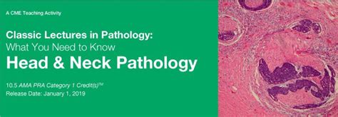 Basic Head And Neck Pathology American Academy Of Otolaryngology Head And Neck Surgery Foundation Continuing