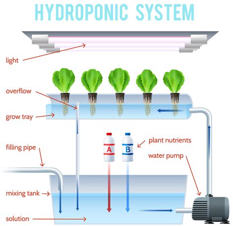 Basic Hydroponic Systems And How They Work
