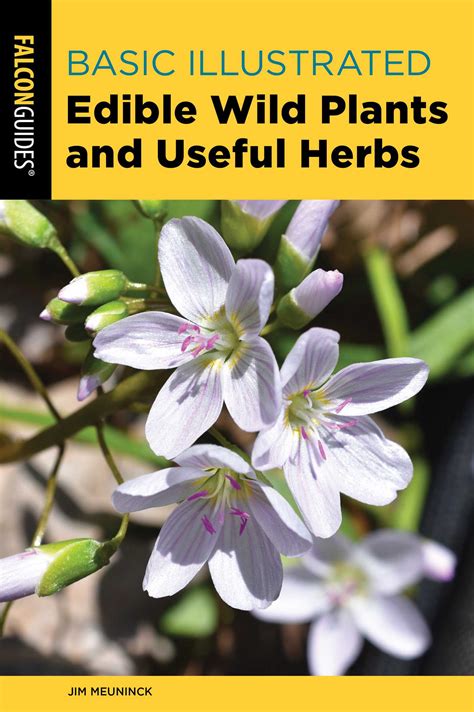 Basic Illustrated Edible Wild Plants And Useful Herbs Jim Meuninck