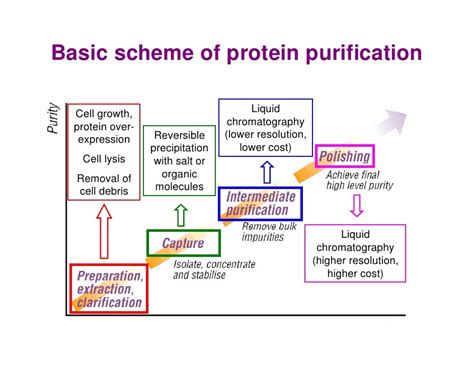 Basic Methods In Protein Purification And Analysis A Laboratory