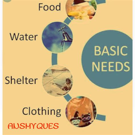 Basic Necessities Of Life