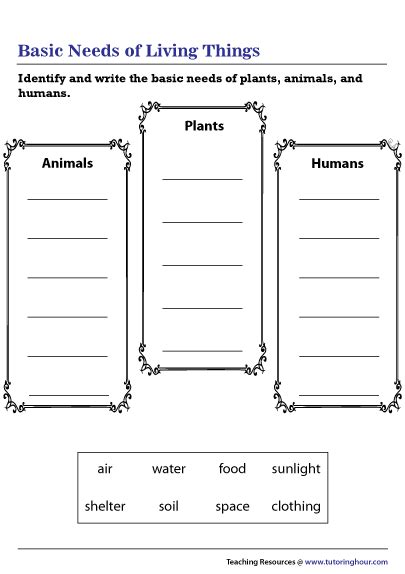 Basic Needs Of Living Things Worksheet For Kindergarten Living Things Worksheet Kindergarten - Living Things Worksheet Kindergarten
