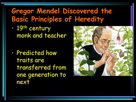 basic principles of heredity gregor mendel biography