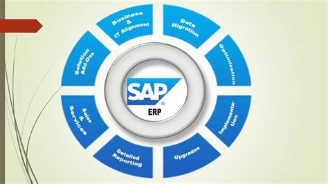 Basic Sap Guide For Beginners
