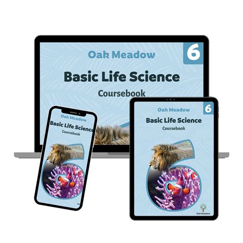 Basic Skills Life Science 6 8 Answers