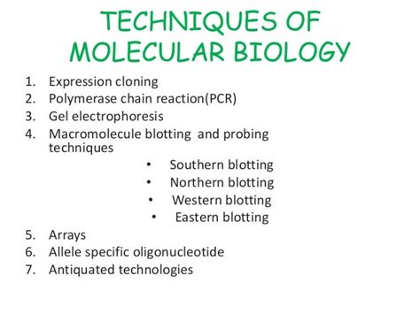 Basic Techniques In Molecular Biology Springer Lab S
