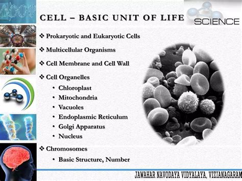 Basic Unit Of Life