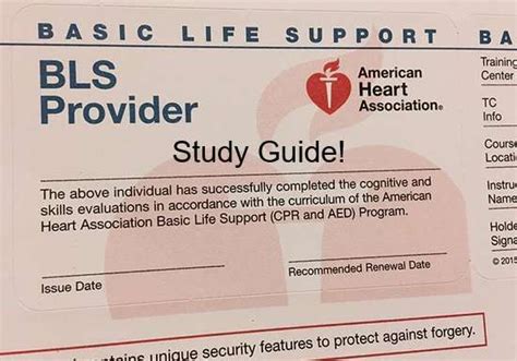 Download Basic Life Support Study Guide 