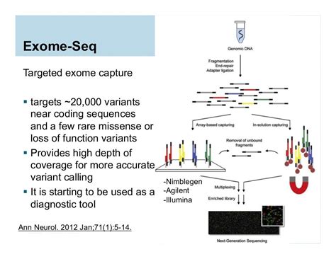 Read Basics On Analyzing Next Generation Sequencing Data With R 