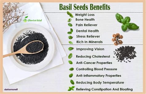 Basil Seeds Side Effects