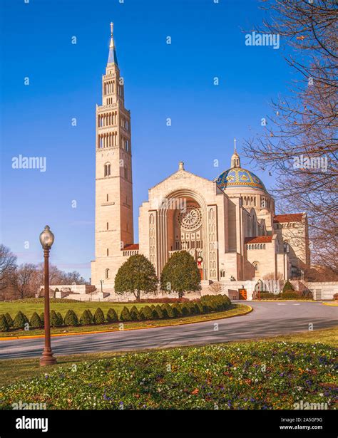 basilika washington