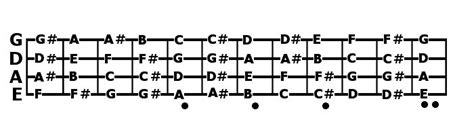 Bass Guitar Notes