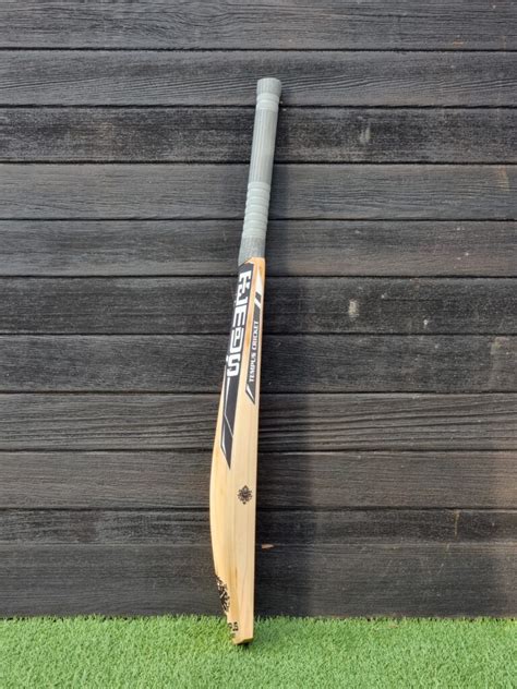 Bat 6