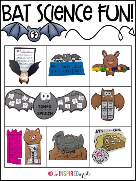 Bat Activities For Primary Students Babbling Abby Bat Science Activities - Bat Science Activities