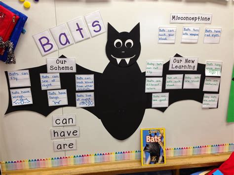 Bat Activities Learning Through Thematic Teaching The Bat Activities For 2nd Grade - Bat Activities For 2nd Grade