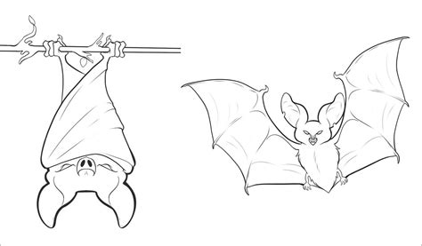 Bat Coloring Pages Coloringbay Fruit Bat Coloring Pages - Fruit Bat Coloring Pages