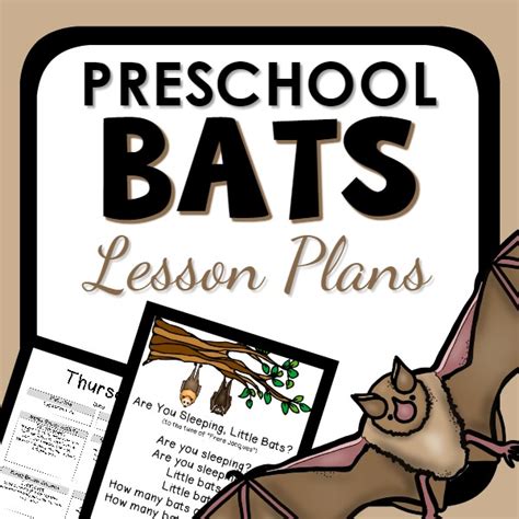 Bat Lesson Plan Animals Teaching Science Worksheets Activity Bat Science Activities - Bat Science Activities