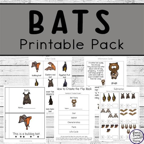 Bat Printable Pack Simple Living Creative Learning Kindergarten Math Worksheet  Bats - Kindergarten Math Worksheet, Bats