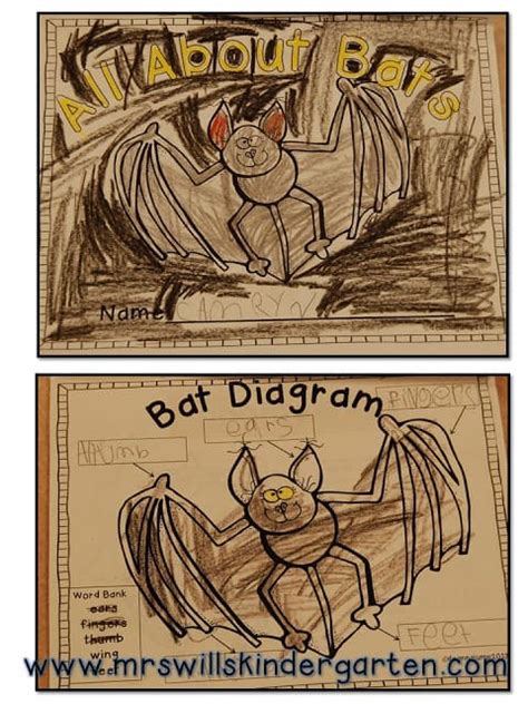 Batastic Week All About Bats Mrs Wills Kindergarten Bats Kindergarten - Bats Kindergarten