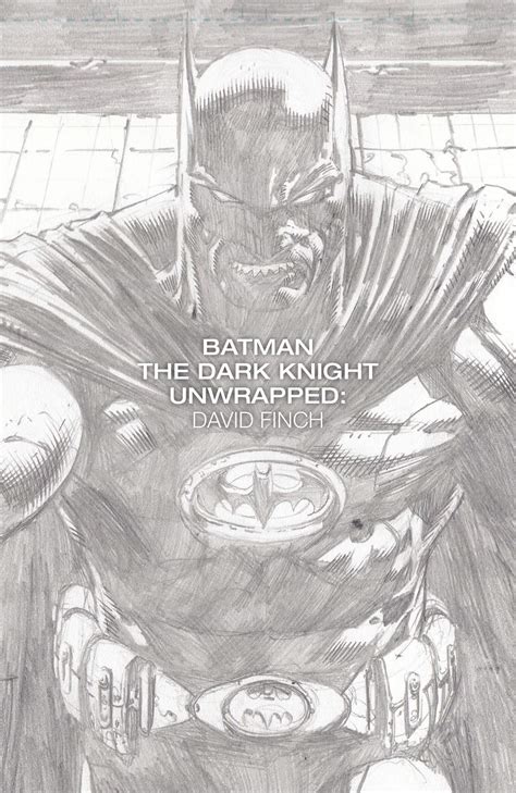 Read Online Batman The Dark Knight Unwrapped David Finch Hc 