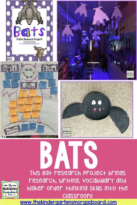 Bats A Bat Research Project The Kindergarten Smorgasboard Kindergarten Math Worksheet  Bats - Kindergarten Math Worksheet, Bats