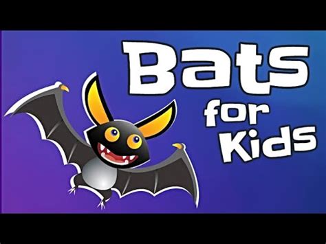 Bats For Kids Youtube Bats Kindergarten - Bats Kindergarten