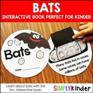 Bats Kindergarten Interactive Book By Simply Kinder Tpt Bat Activities For 2nd Grade - Bat Activities For 2nd Grade