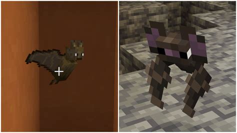 Bats On Minecraft