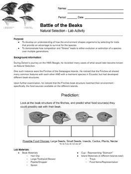 battle of the beaks lab key