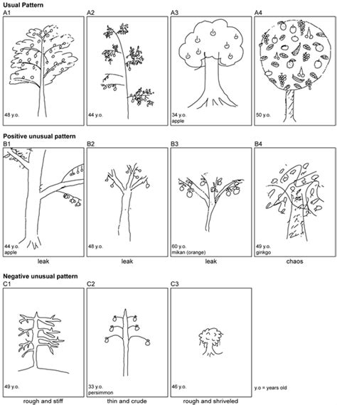 baum test interpretation