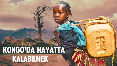 bay chicot +kongo Yandex.