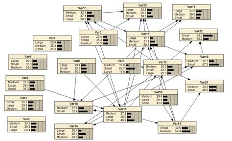 Download Bayesian Networks In R With The Grain Package 