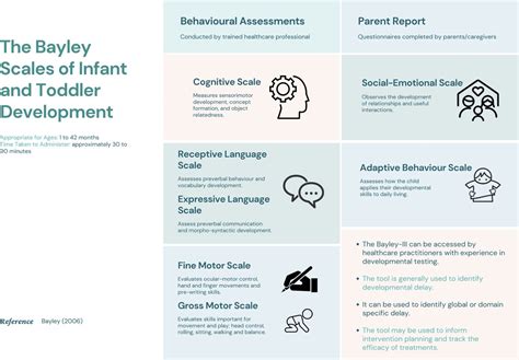 Bayley Scale Of Infant Development