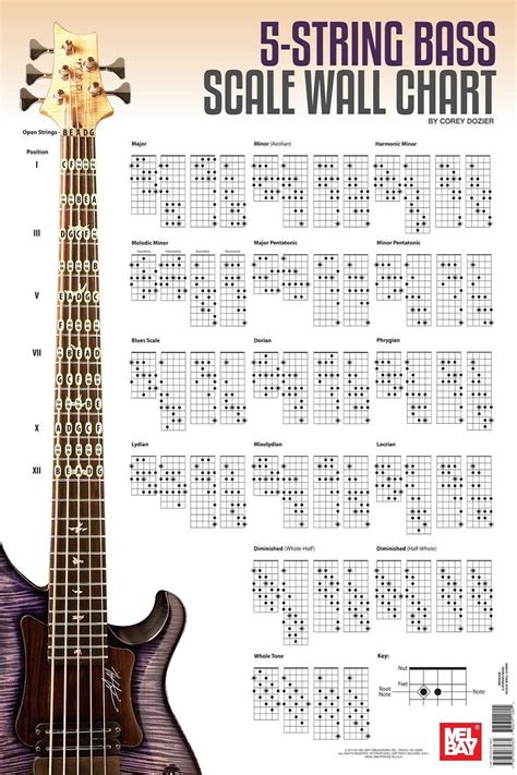 Read Bays Bass Scales Wall Chart 