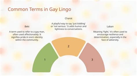 bb gay lingo