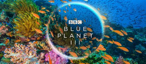 Bbc Blue Planet Student Worksheets Blue Planet Worksheet - Blue Planet Worksheet