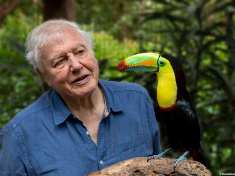 bbc natural world david attenborough biography