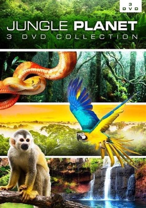 Bbc Planet Earth Jungles Teaching Resources Planet Earth Worksheet Answers - Planet Earth Worksheet Answers
