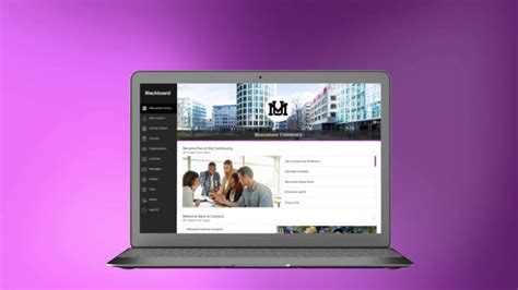 bblearn csu ohio