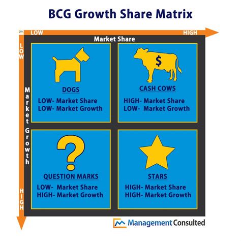 Bcg Matrix Example