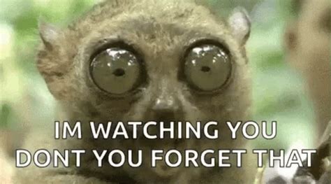 Be Watching You