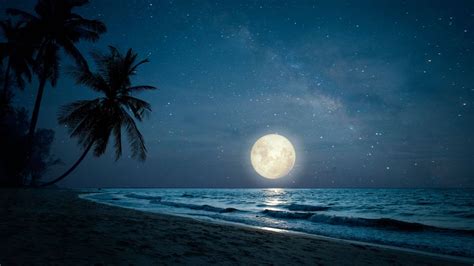 Beach At Night